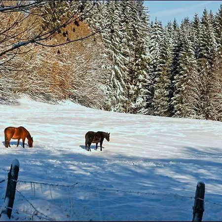 La Ferme A Coin 4 Bed & Breakfast *