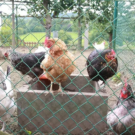 La Ferme A Coin 4 Bed and breakfast